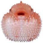 Globefish  Fantasy Animal Masturbator