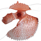 Globefish  Fantasy Animal Masturbator