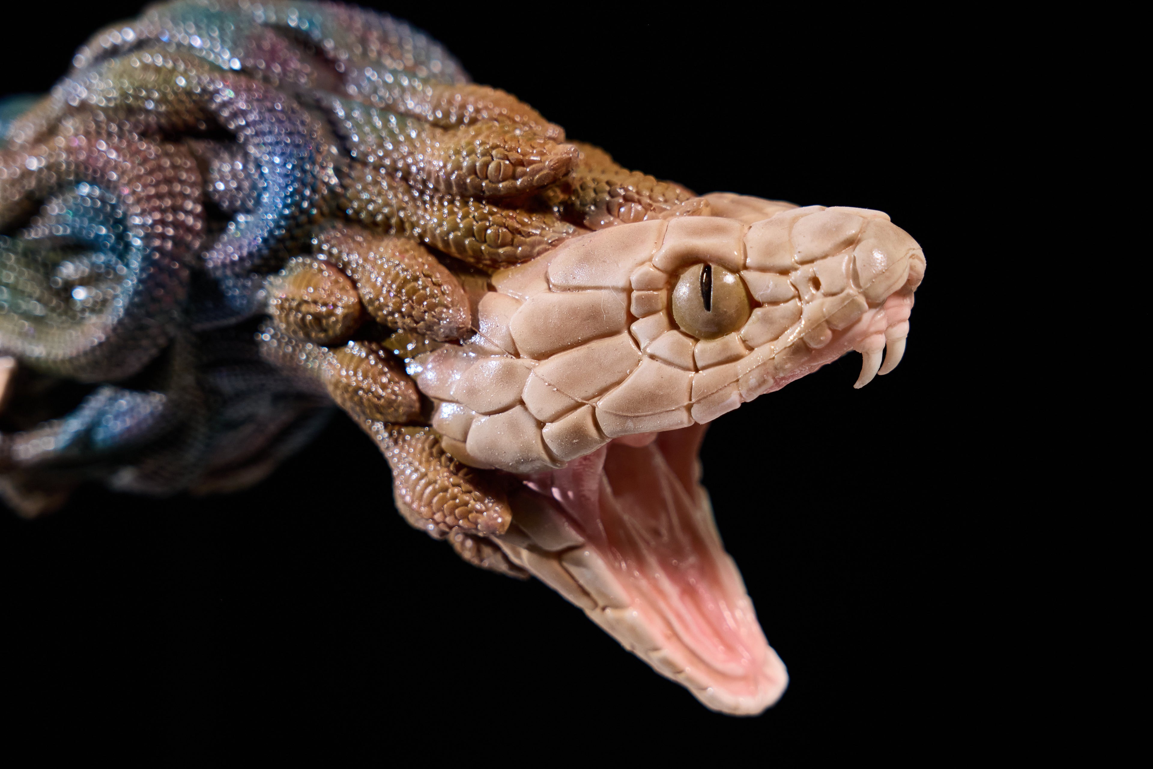 Medusa: Snake Girl Hentai Onahole Fantasy Sex Toy Fuckable Masturbaturs